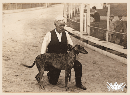 Greyhound_racing