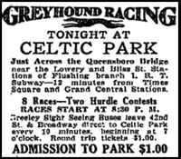 greyhound_ad